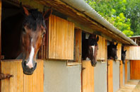 free Stearsby stable construction quotes